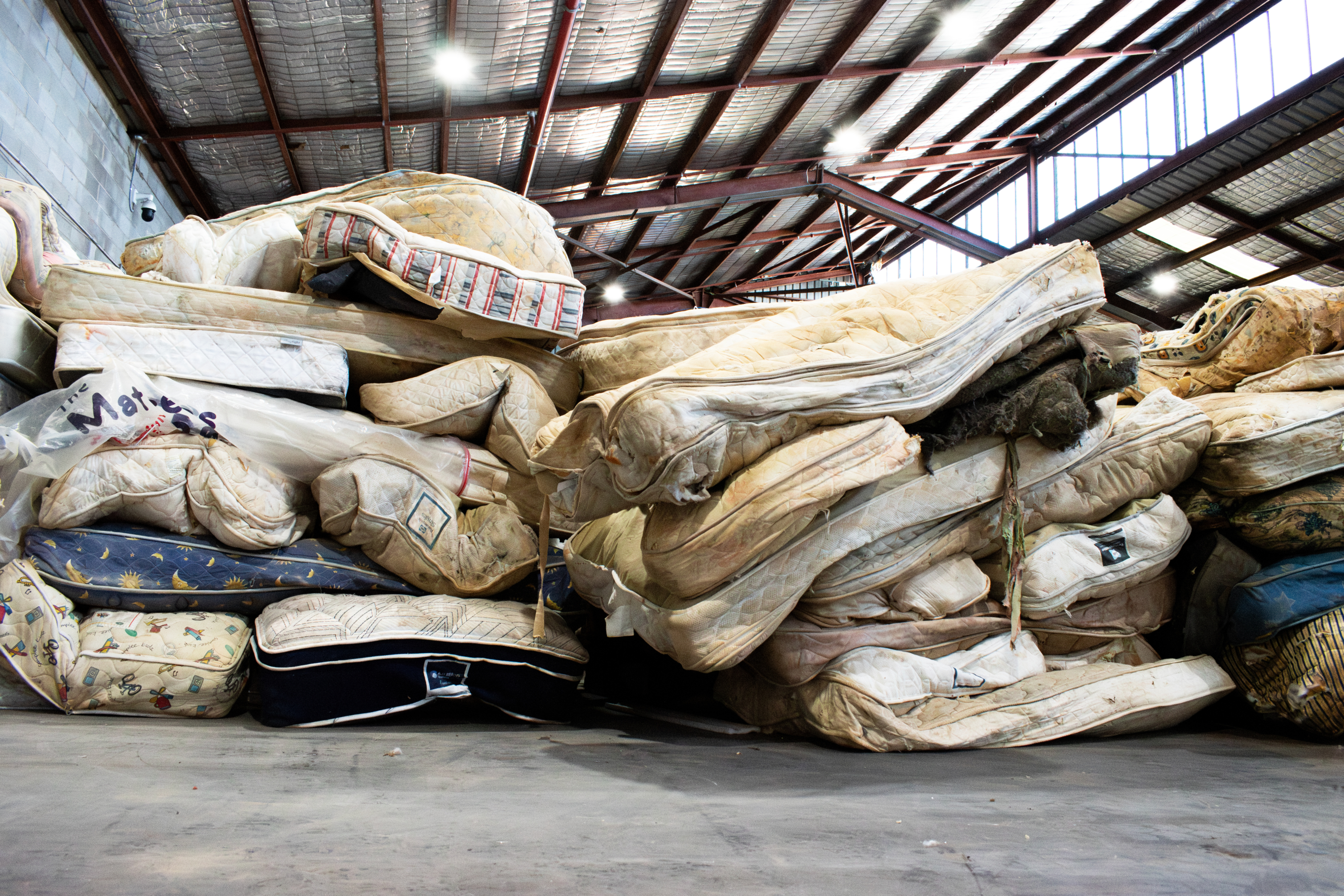 DSC_3816-Enhanced-NR